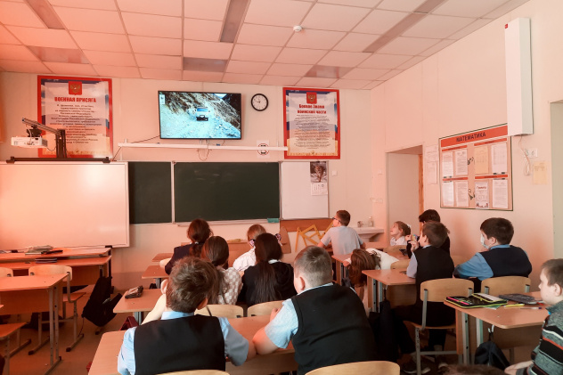 Всемирный день дикой природы Всемирный день дикой природы