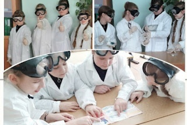 Сетевой проект