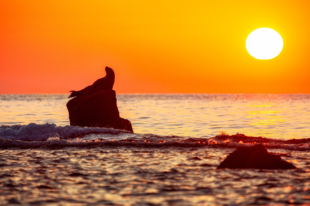 Сихотэ-Алинь