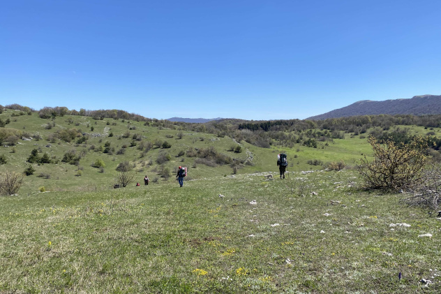 Никифорова А.А. Никифорова А.А.