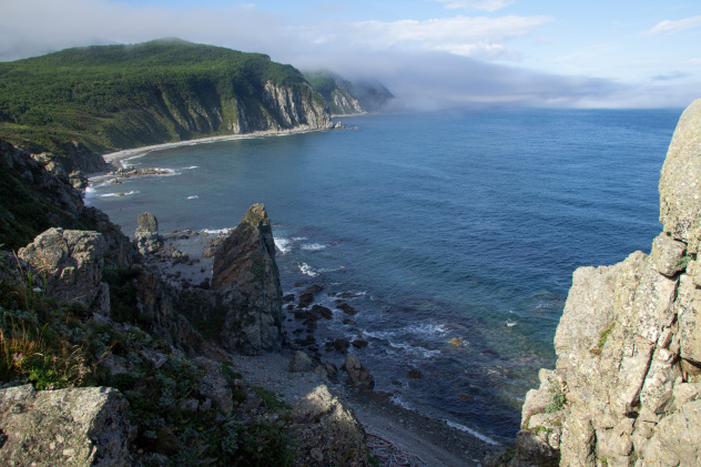 Евгения Воронцова