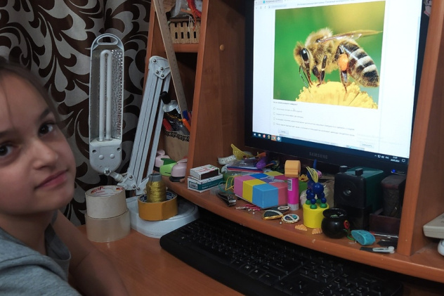 Интеллектуальная викторина "Пчелиный калейдоскоп-2024" Интеллектуальная викторина "Пчелиный калейдоскоп-2024"