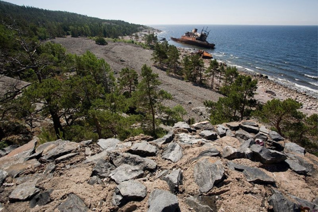 Андрей Стрельников