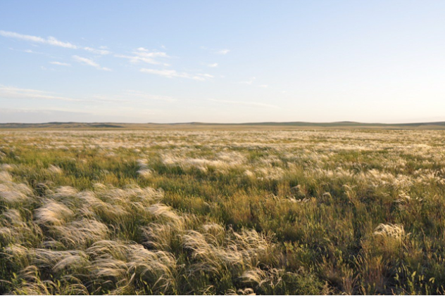 Ангелина Войченко