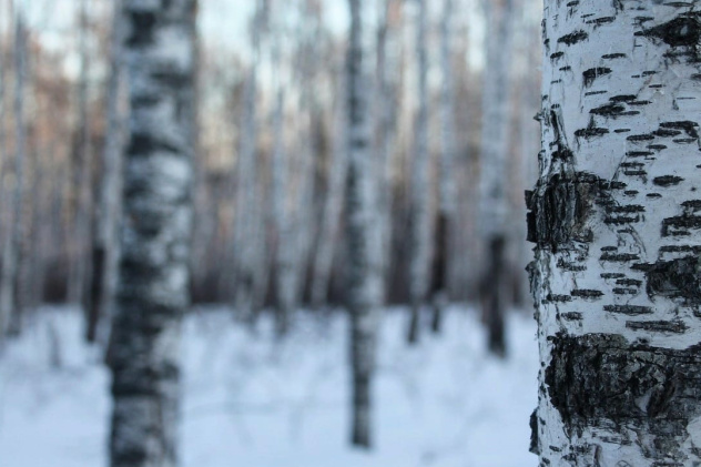 Инна Бочарова, участница фотоконкурса РГО "Самая красивая страна"