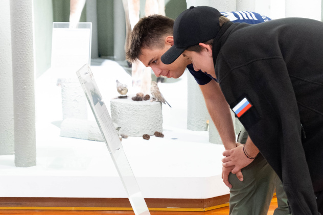 Михаил Ельмекеев Михаил Ельмекеев