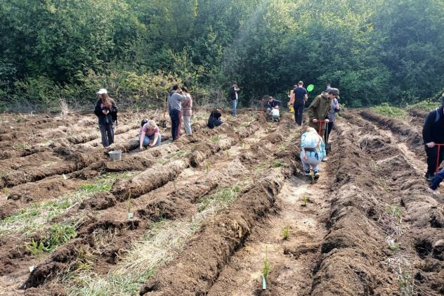 Михаил Семенов Михаил Семенов