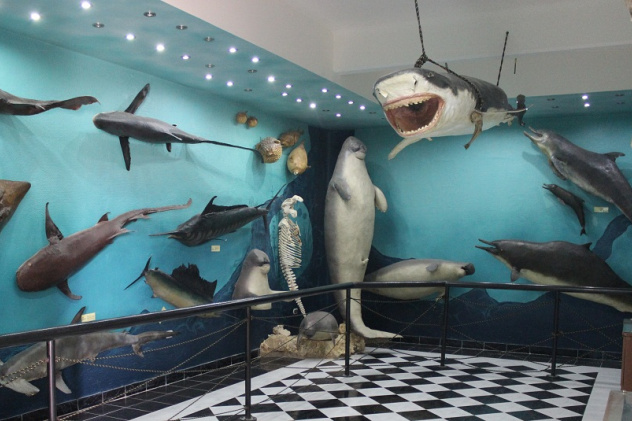 Музей Хамеда Гохара Музей Хамеда Гохара