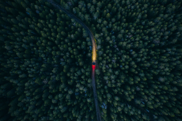 Сквозь лесную чащу. Участник фотоконкурса "Самая красивая страна" Сквозь лесную чащу. Участник фотоконкурса "Самая красивая страна"