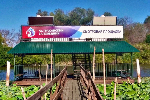 Смотровая площадка Астраханского заповедника