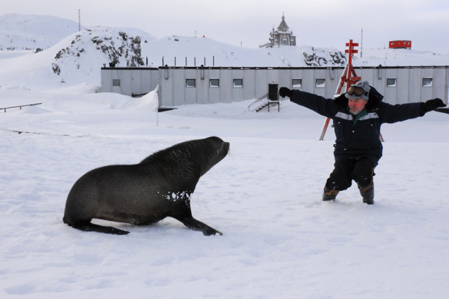 В Антарктиде В Антарктиде