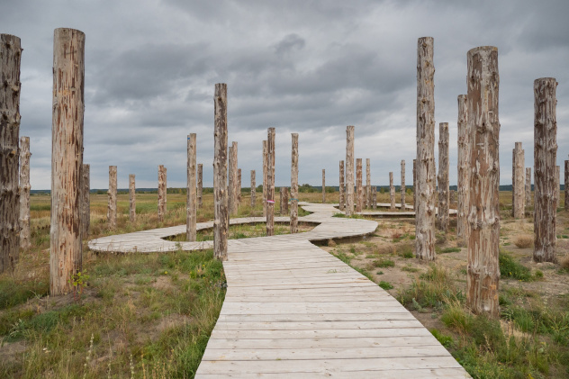 Евгений Плашиннов Евгений Плашиннов