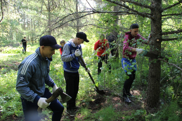 Дендропарк