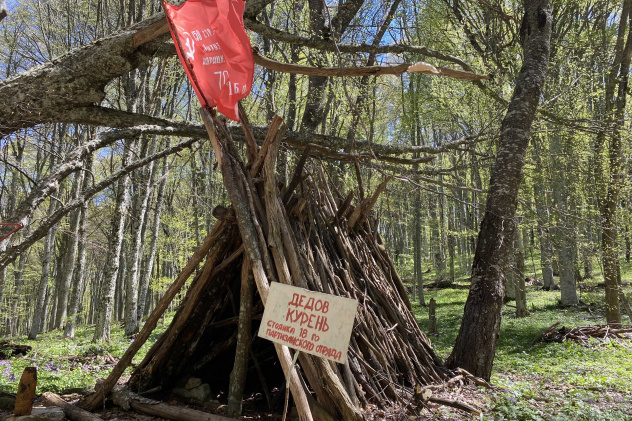 Никифорова А.А. Никифорова А.А.