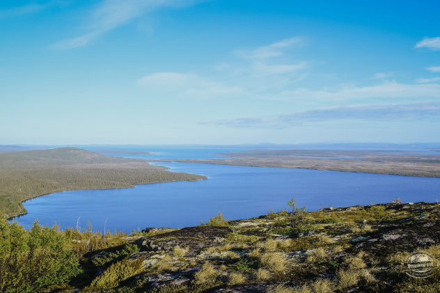 Ксения Гасица