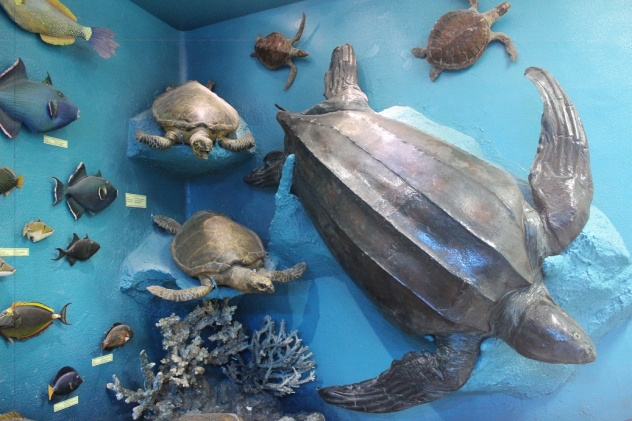 Музей Хамеда Гохара Музей Хамеда Гохара