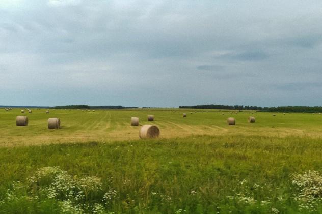 Фотография участника конкурса