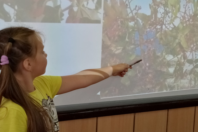 Молодёжный клуб РГО Молодёжный клуб РГО