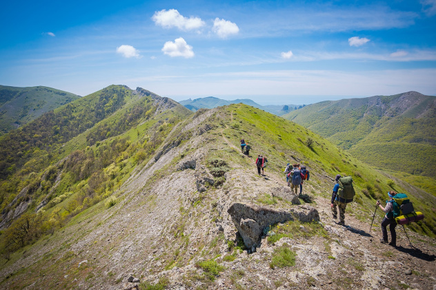 Предоставлено организаторами Предоставлено организаторами