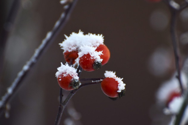 Владислав Комиссаров, участник фотоконкурса РГО "Самая красивая страна"