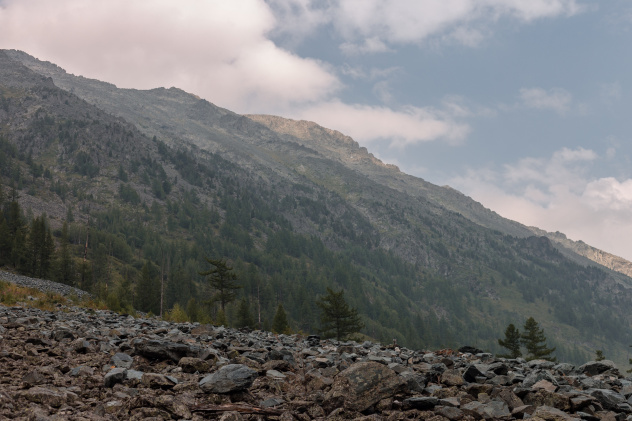 Ксения Гасица Ксения Гасица