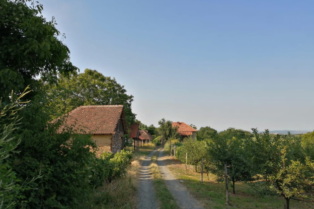 Стажировка в Сербии