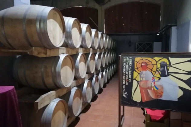 Стажировка в Сербии