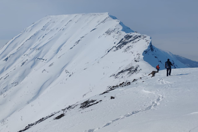 Автор: Владимир Кузьмин