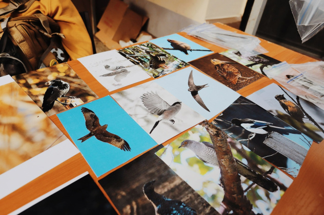 Площадка "Бердвотчинг от Экополюса"