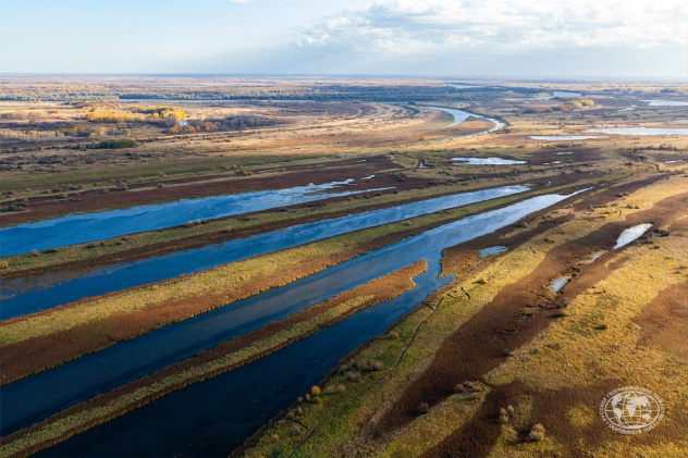 Дарья Афонасова Дарья Афонасова