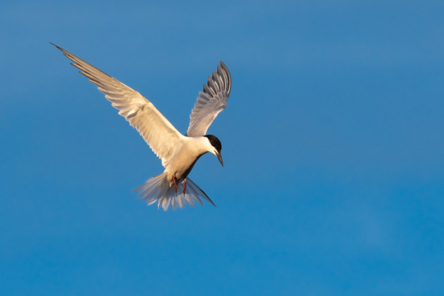 Елена Герасевич, участник фотоконкурса РГО "Самая красивая страна"