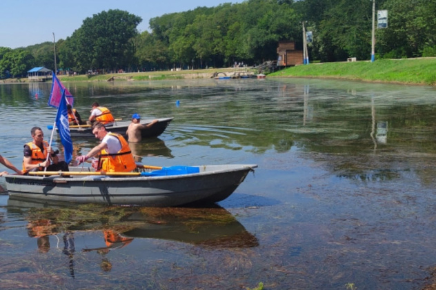 Регата Регата