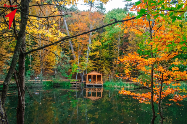 Максим Темиров Максим Темиров