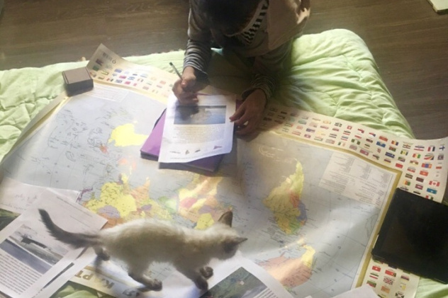 "Столица" "Столица"