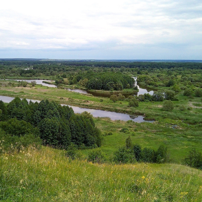 Воронинский заповедник