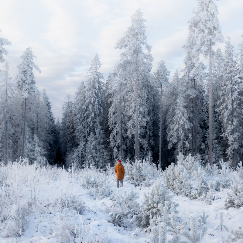 Первый мороз