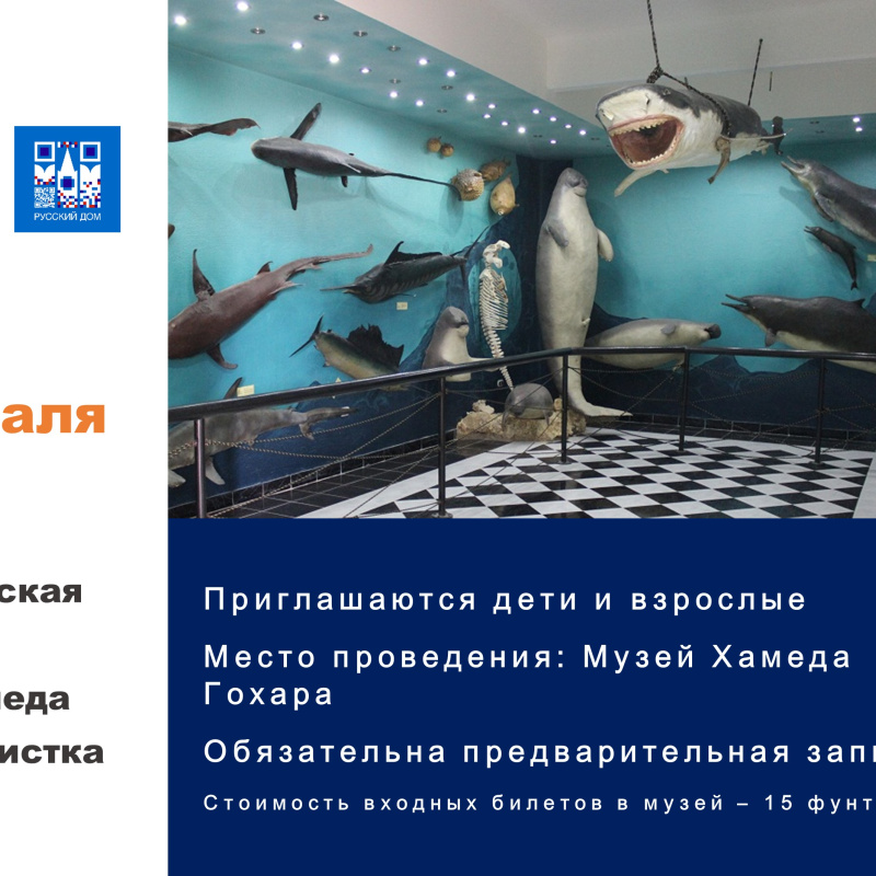 Музей Хамеда Гохара Музей Хамеда Гохара