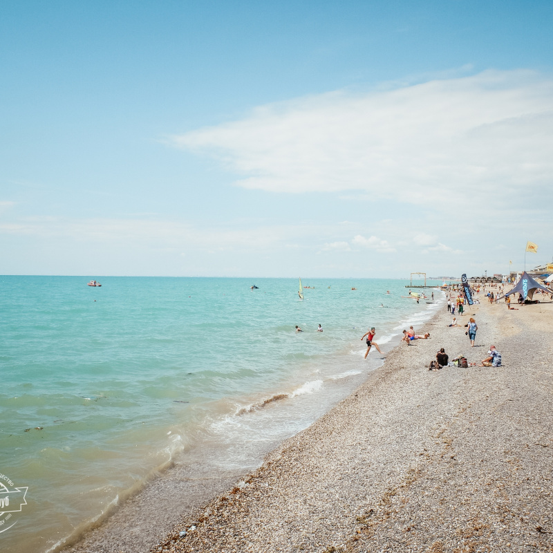 Фестиваль водных видов спорта