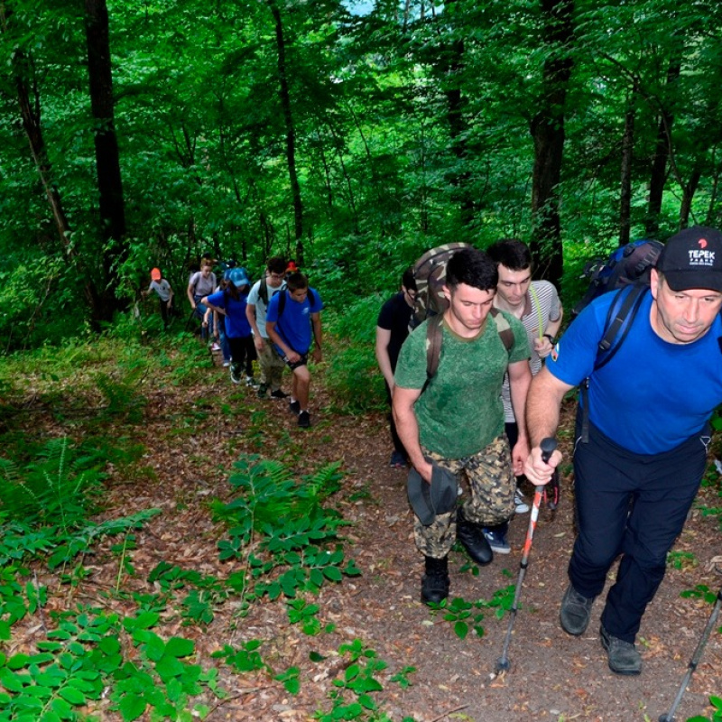 Нартия Нартия