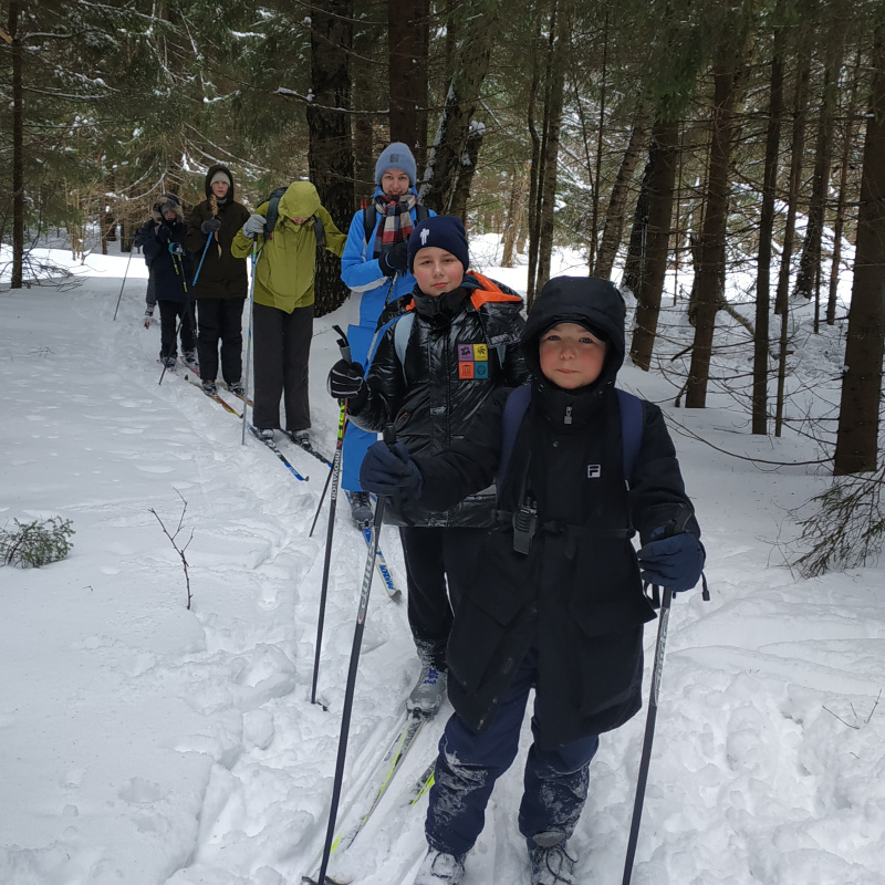 В лесу на лыжах