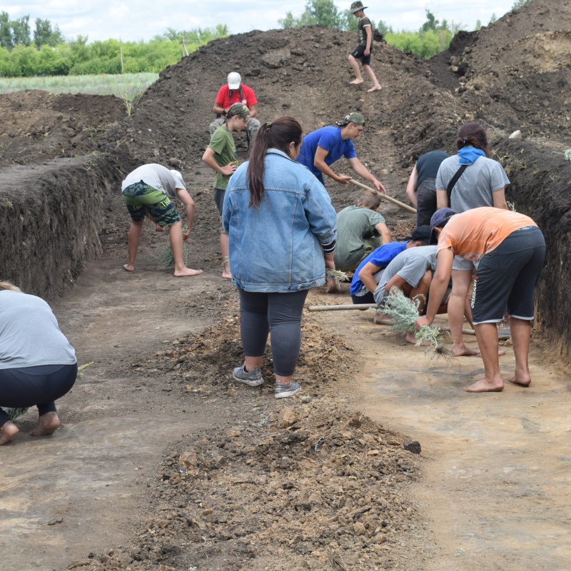 Воронеж археология