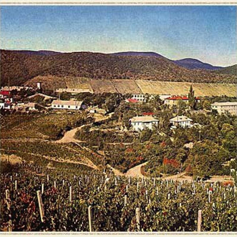 Заседание клуба Новороссийск