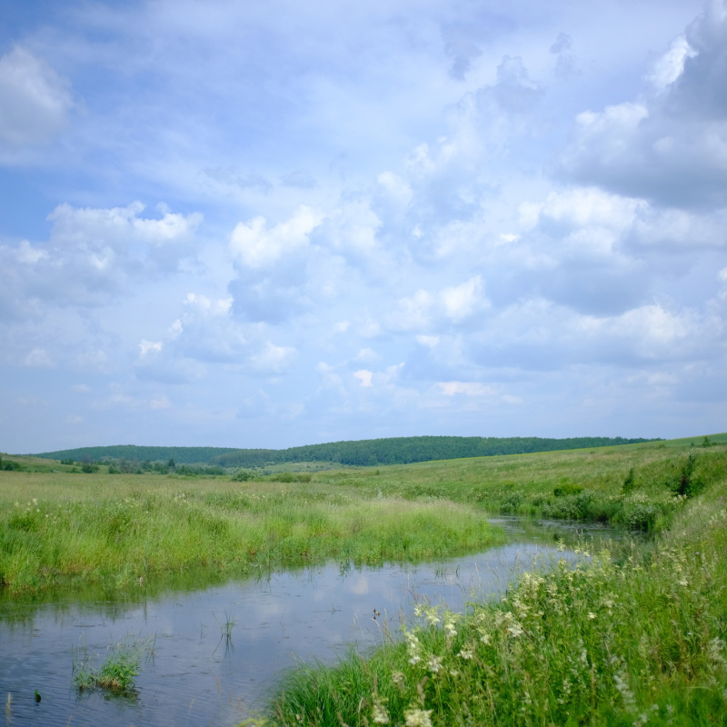 Река Сула Река Сула