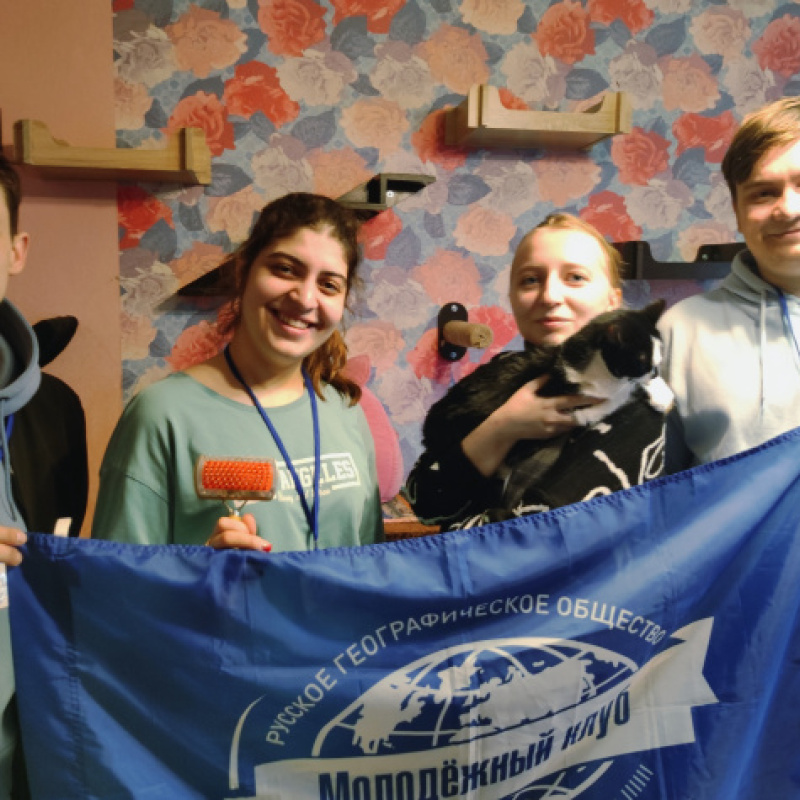 В Кошкином доме В Кошкином доме