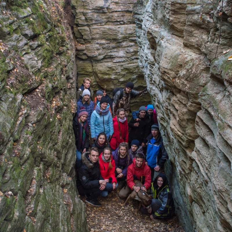 НФИ КемГУ Новокузнецк НФИ КемГУ Новокузнецк