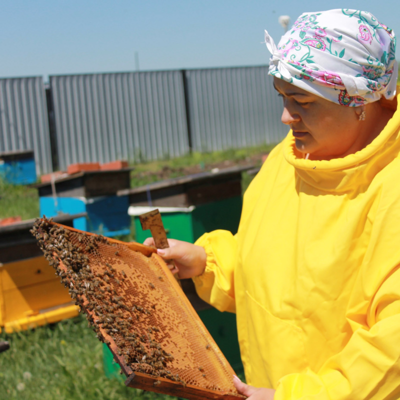 Пчеловод