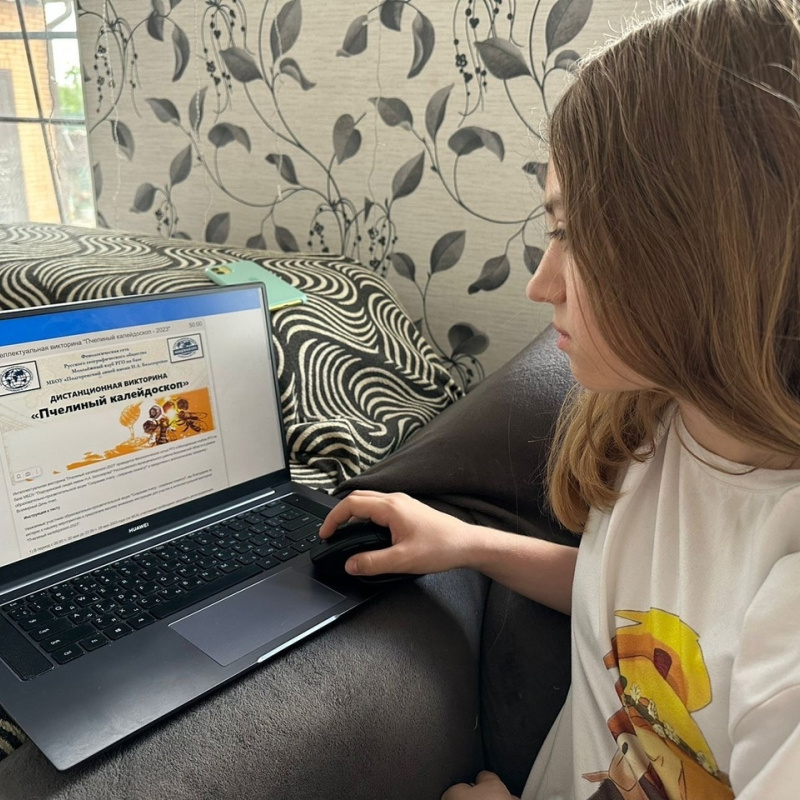 Викторина "Пчелиный калейдоскоп - 2023"