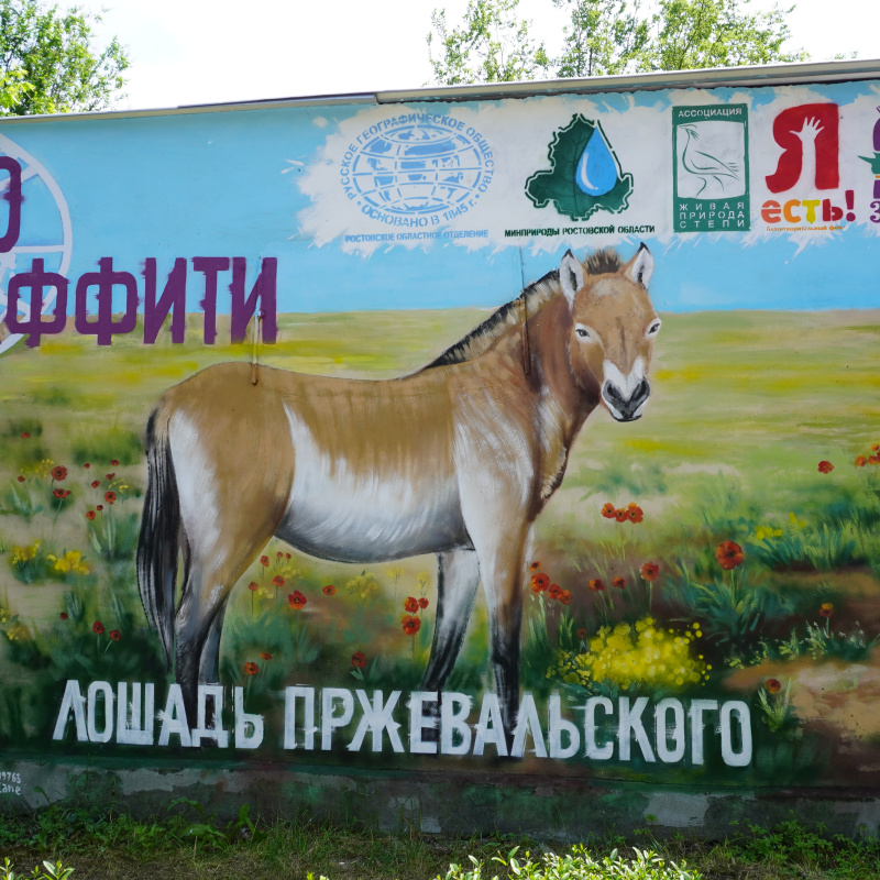 Автор: Наталья Давыдова Молодежный клуб РГО Ростовской области