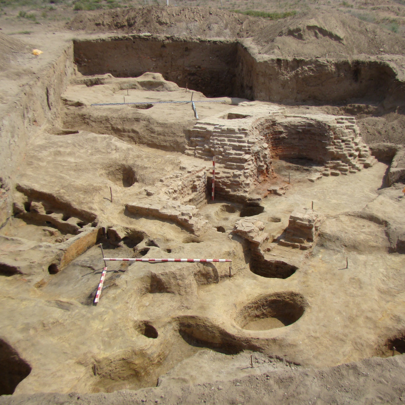 Нижневолжская археологическая экспедиция