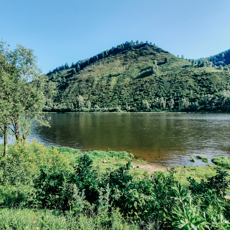 Никита Есенков 